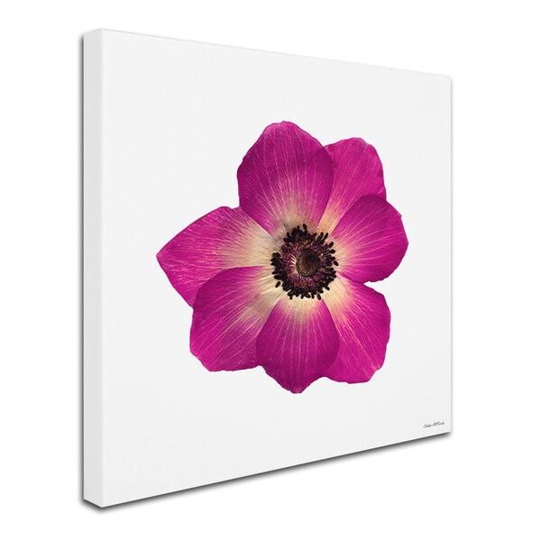 Kathie McCurdy 'Hot Pink Flower' Canvas Art,14x14